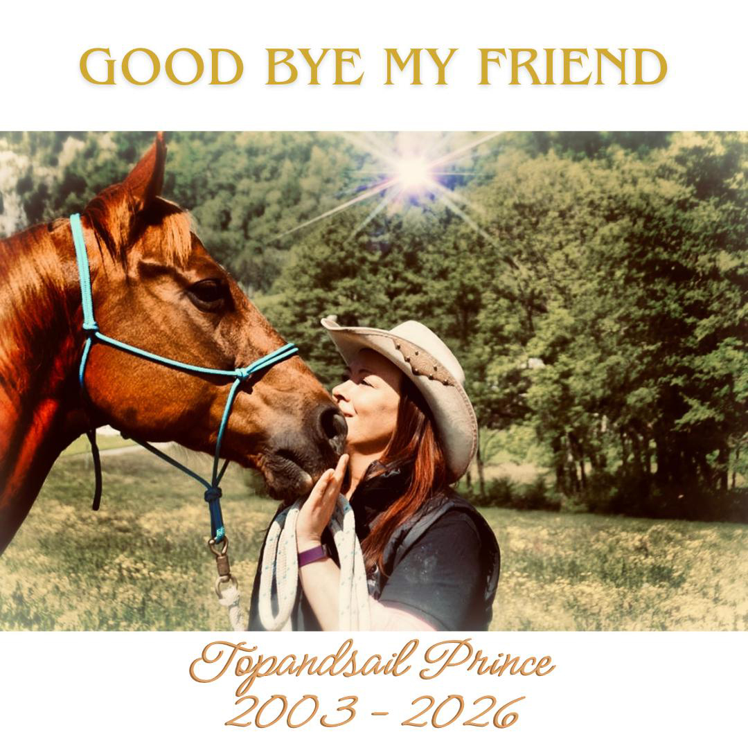 Westernreiten Schweiz - Good bye My Friend | Topandsail Prince 2003 - 2026