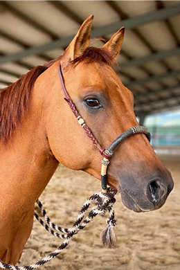 AR VICTORY FLAG „VICTOR“